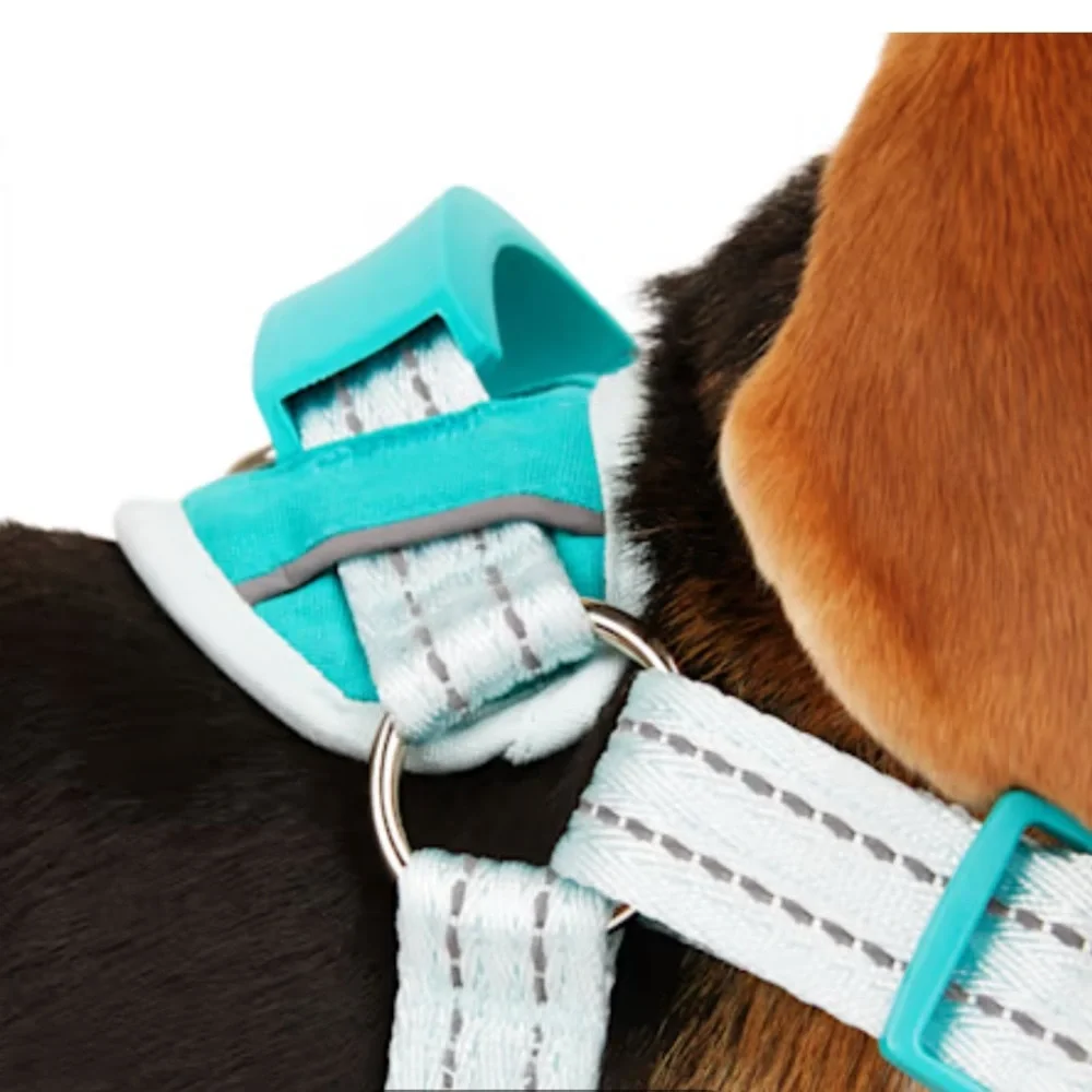 EveryYay Embrace the Pace Training Dog Harness Blue